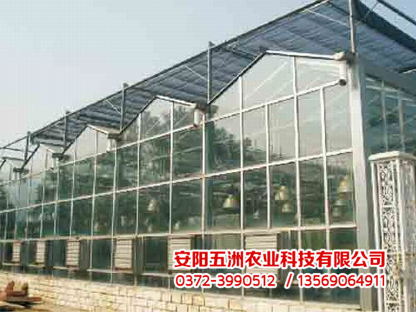 連棟大棚 連棟大棚