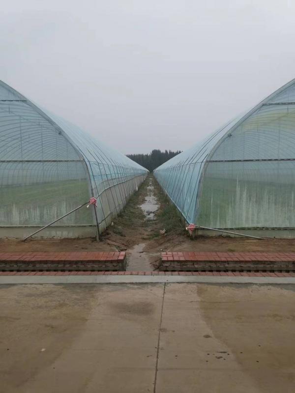 溫室大棚
